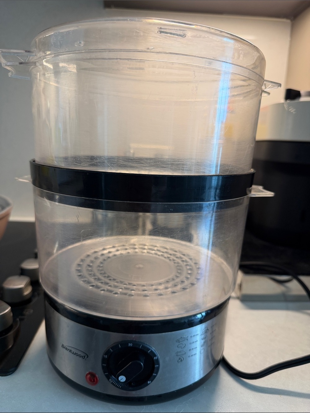 Clear Plastic Electric Food Steamer with Black Accents
